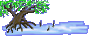 Brackwasser