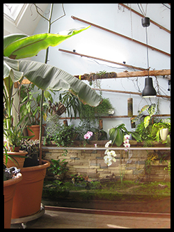 Wintergarten Fenster